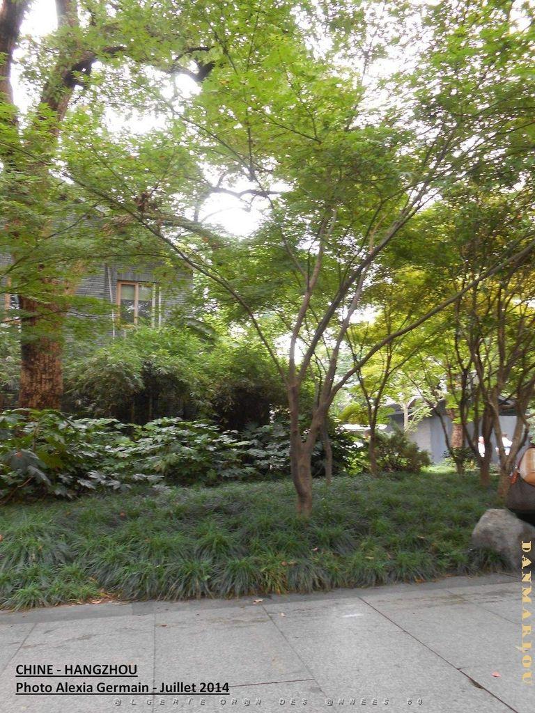 Alexia-Hangzhou 034.JPG